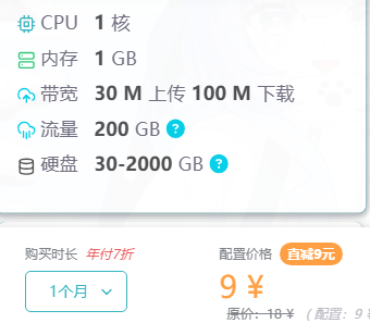 图 1：雨云基础服务器配置