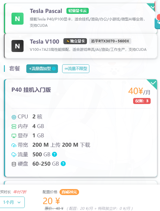 图 3：雨云 P40 显卡云